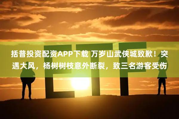 括普投资配资APP下载 万岁山武侠城致歉！突遇大风，杨树树枝意外断裂，致三名游客受伤