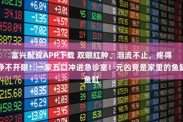 富兴配资APP下载 双眼红肿、泪流不止，疼得睁不开眼！一家五口冲进急诊室！元凶竟是家里的鱼缸